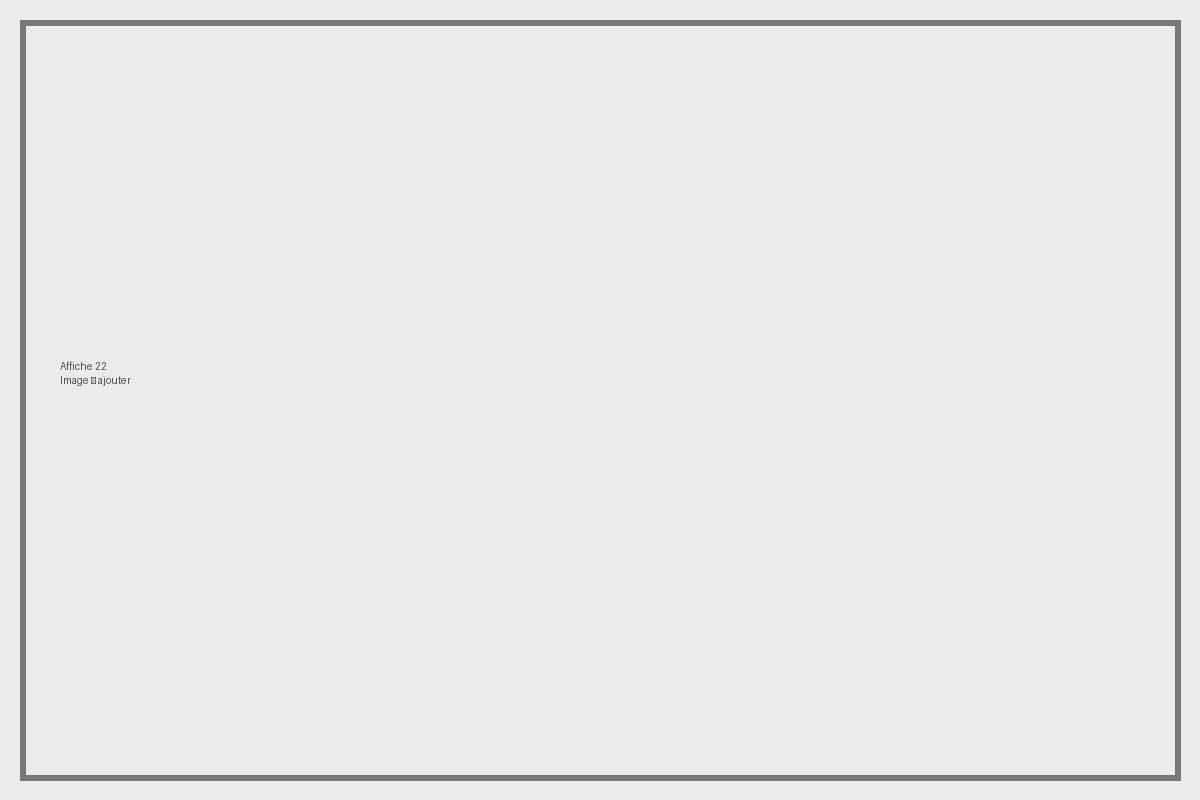 Affiche 22